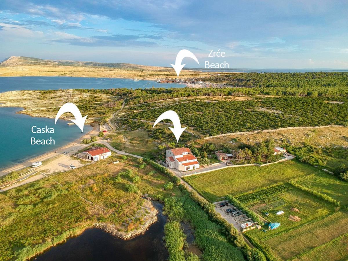 Apartments Dinko Novalja Dış mekan fotoğraf