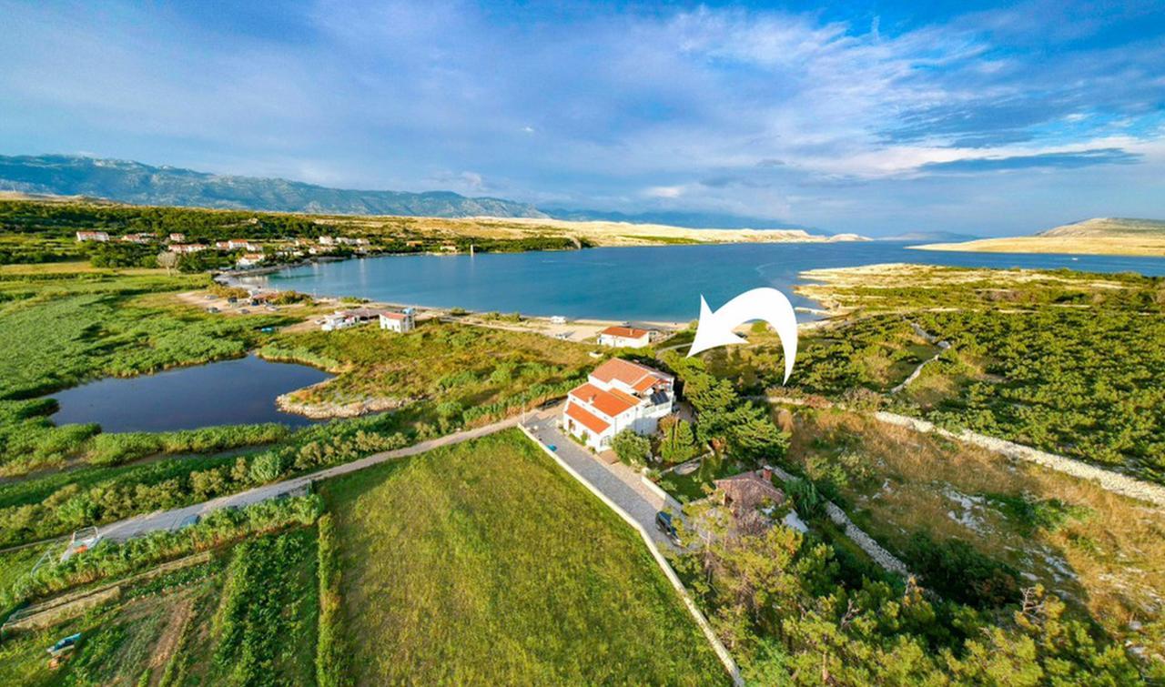 Apartments Dinko Novalja Dış mekan fotoğraf